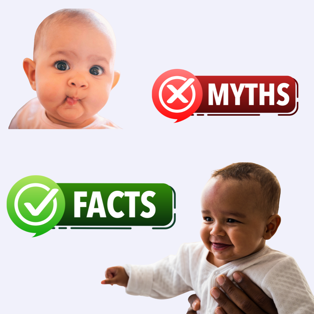 Mythbusters.png